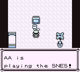 Pokemon Rouge Bleu, capture décran